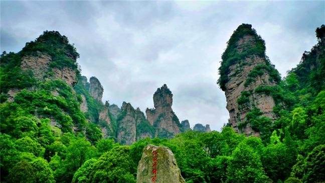 要關注了！湖南這6個國家森林公園總體規劃獲國家批復